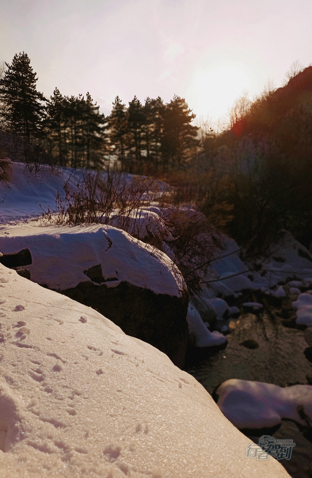 秦岭赏雪013