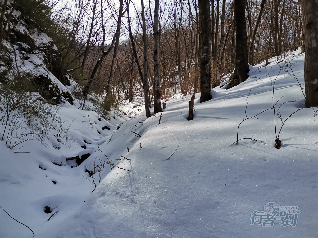 秦岭赏雪055