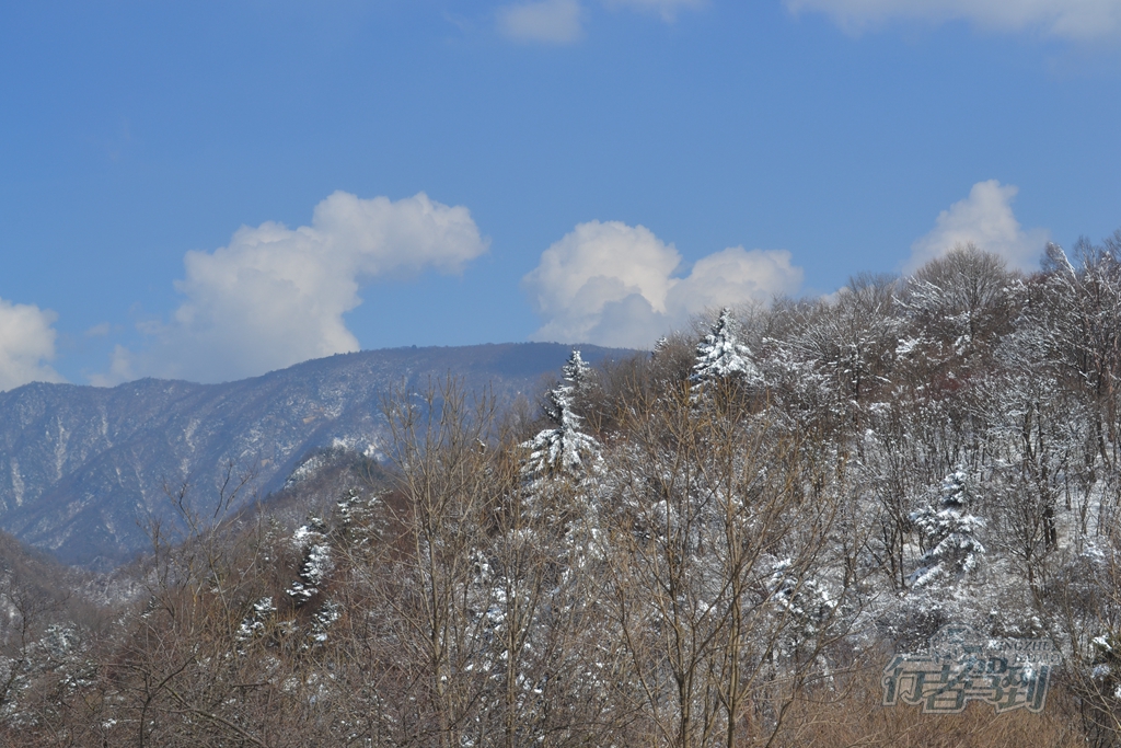 秦岭赏雪134