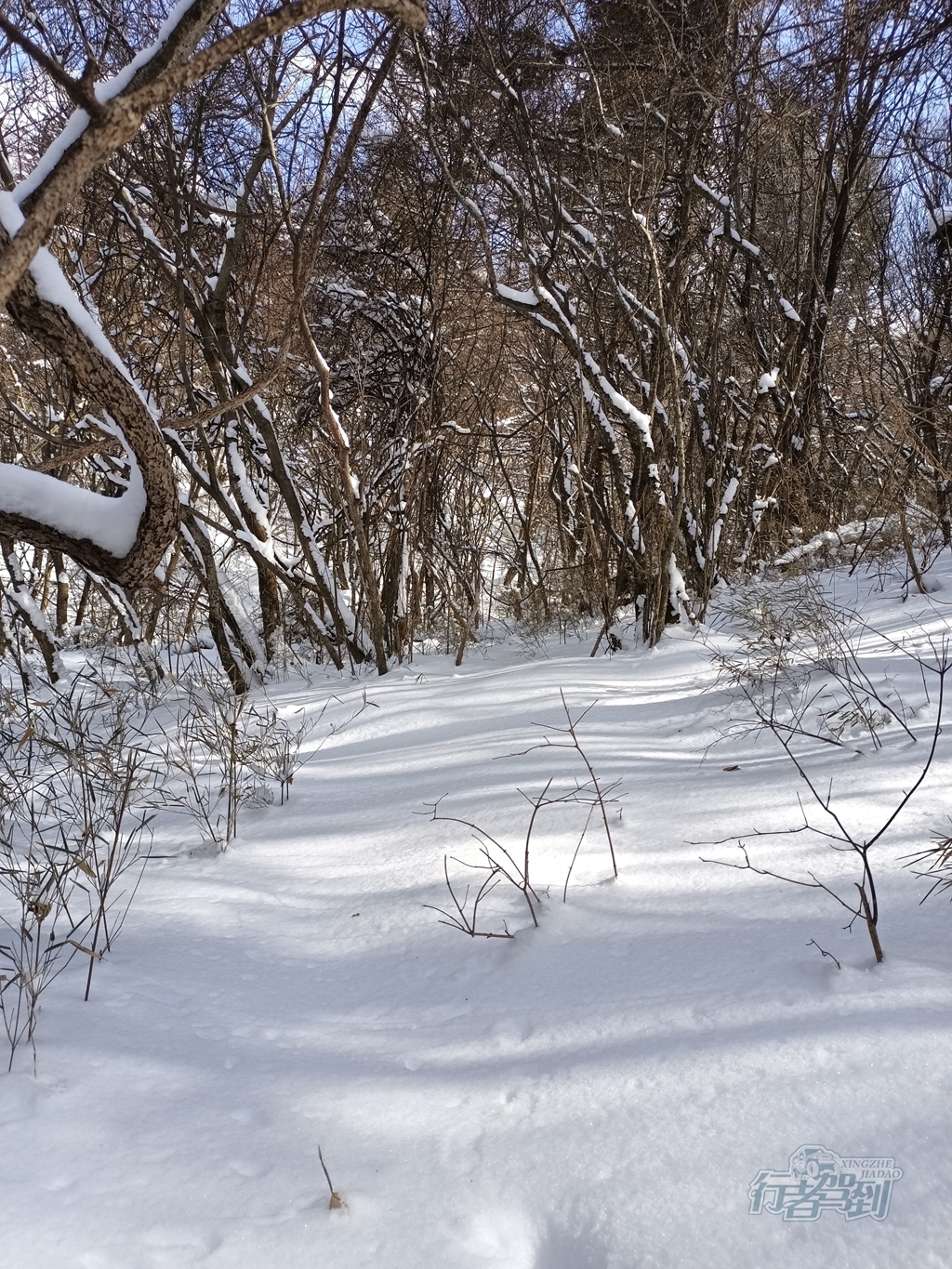 秦岭赏雪050