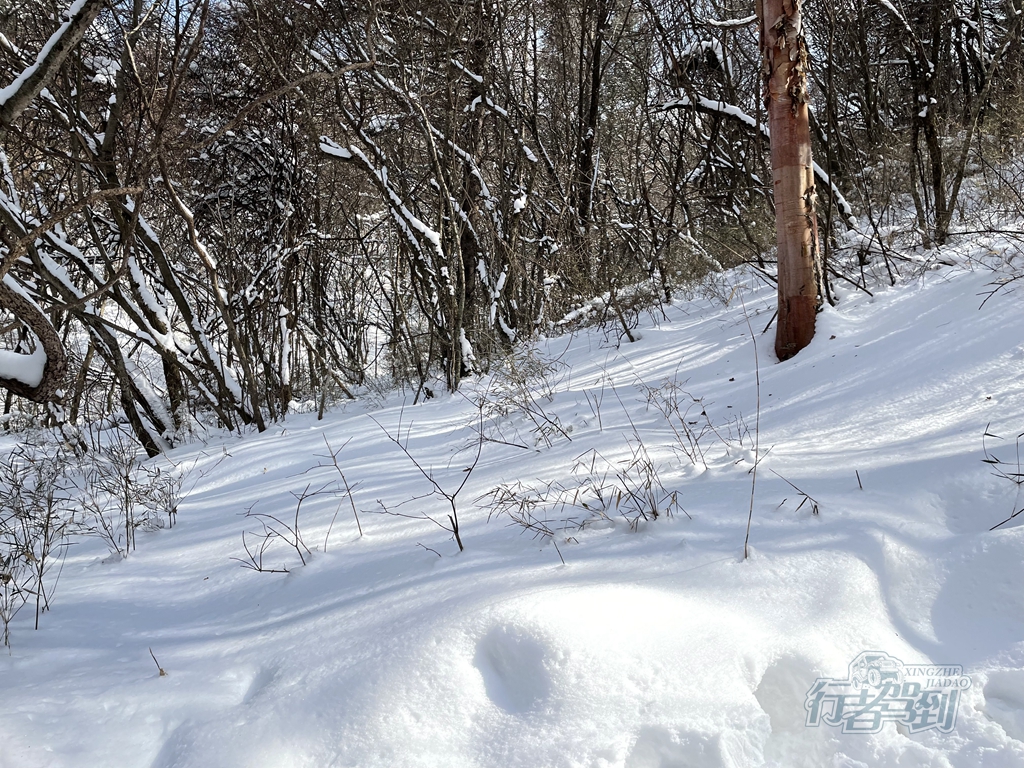 秦岭赏雪130